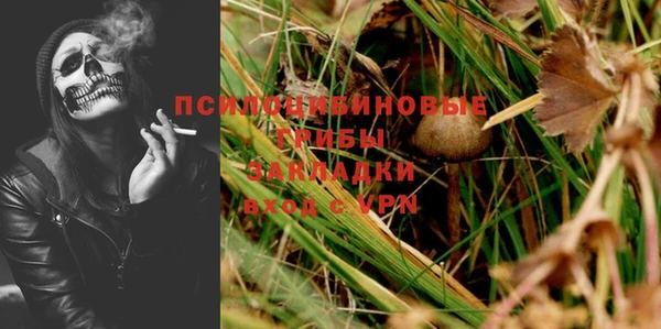 бошки Абаза