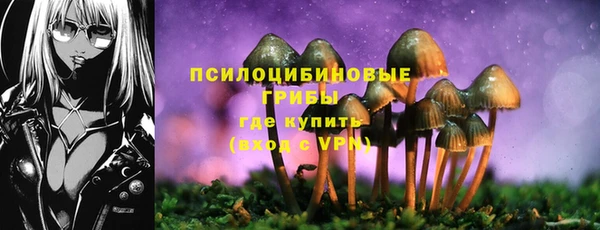 мяу мяу мука Абинск