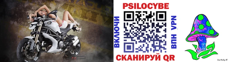 MEGA ТОР Чкаловск Псилоцибиновые грибы Psilocybe